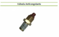 Válvula anticongelante